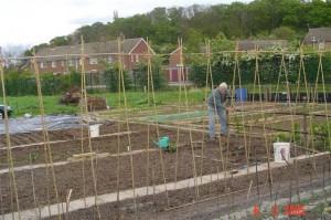 Burhill Allotments