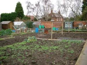 Forest Close Allotments