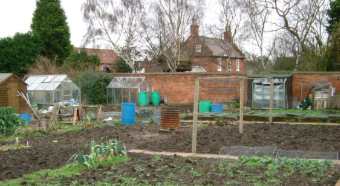 Cotgrave Allotments